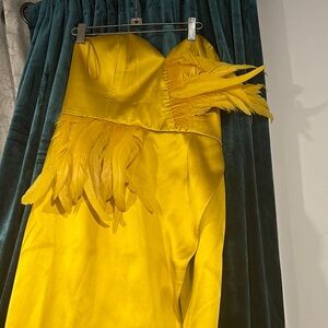 Yellow Feathered Dress